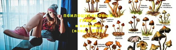 марки lsd Абинск