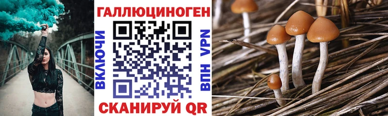 Галлюциногенные грибы ЛСД  дарк нет Telegram  Кашира  закладки 