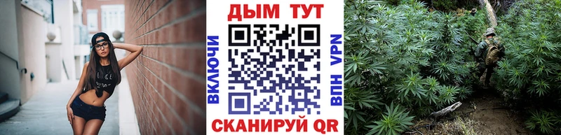 МАРИХУАНА планчик Кашира
