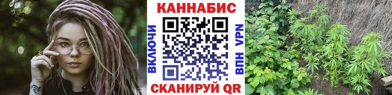 Бошки марихуана MAZAR  Кашира 